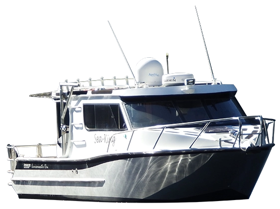 Image Boats NZ Cruisemaster Sea King Boat