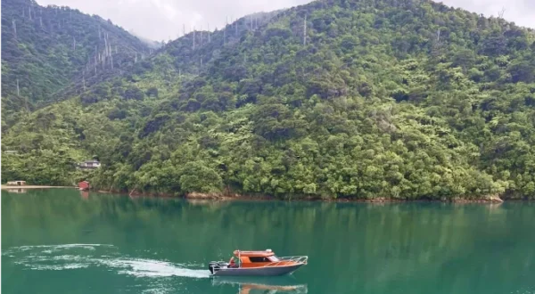 Image Boats NZ boat on lake